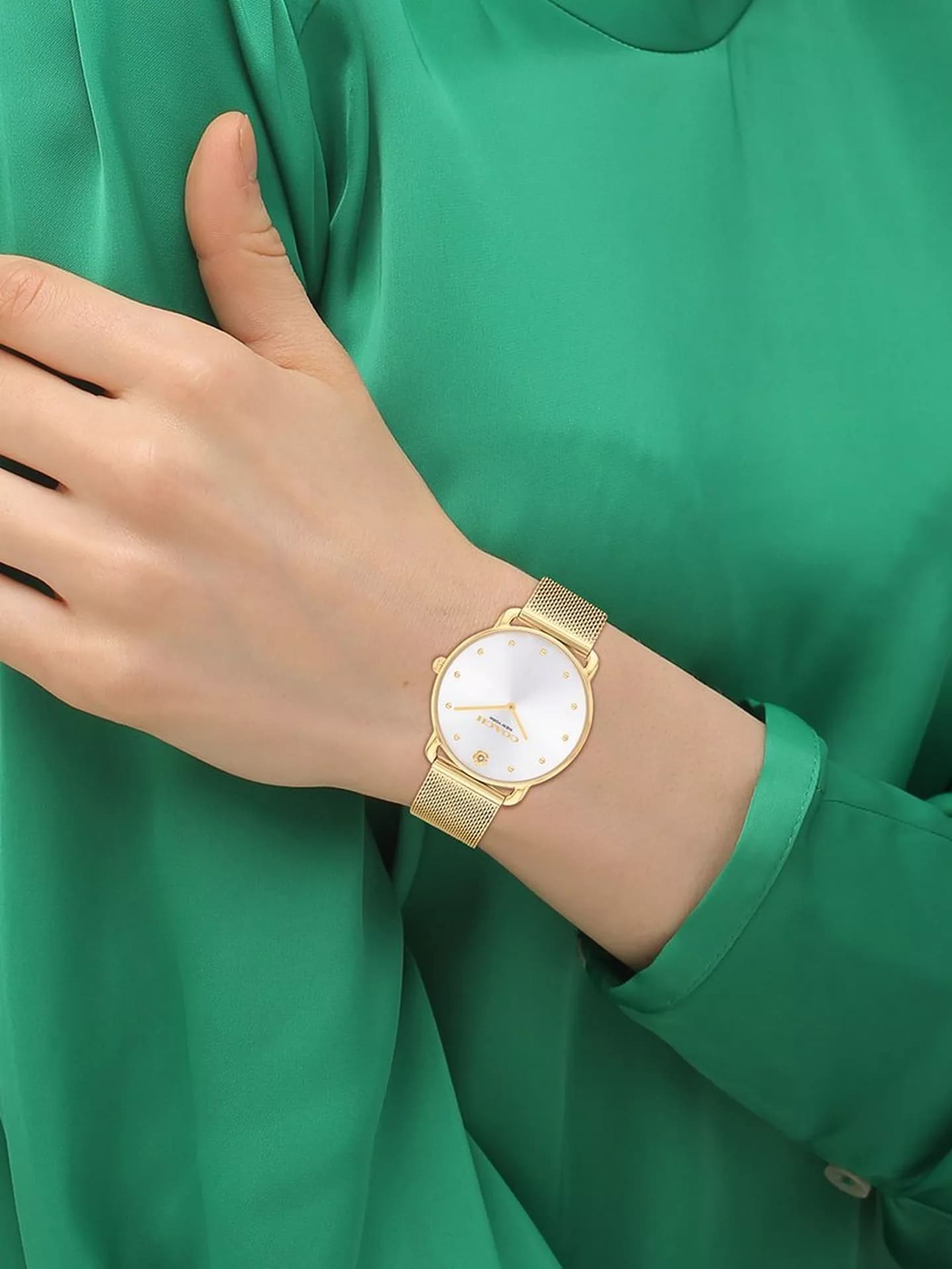 Elliot Silver Dial With Gold Tone Steel Mesh Bracelet Ladies Watch