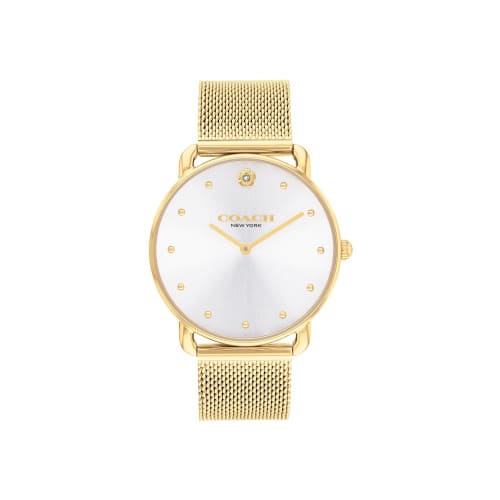 Elliot Silver Dial With Gold Tone Steel Mesh Bracelet Ladies Watch