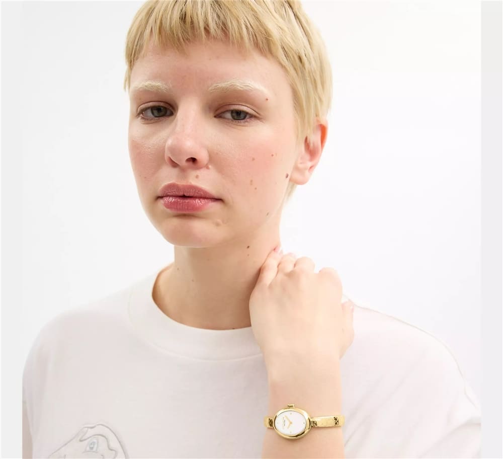 Sammy Silver Dial With Gold PVD Bracelet Ladies Watch