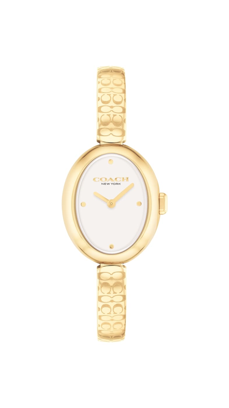 Sammy Silver Dial With Gold PVD Bracelet Ladies Watch