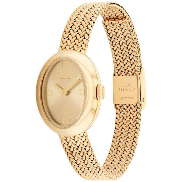 Sammy Gold Sunray Dial With Gold-Tone Mesh Bracelet Ladies Watch