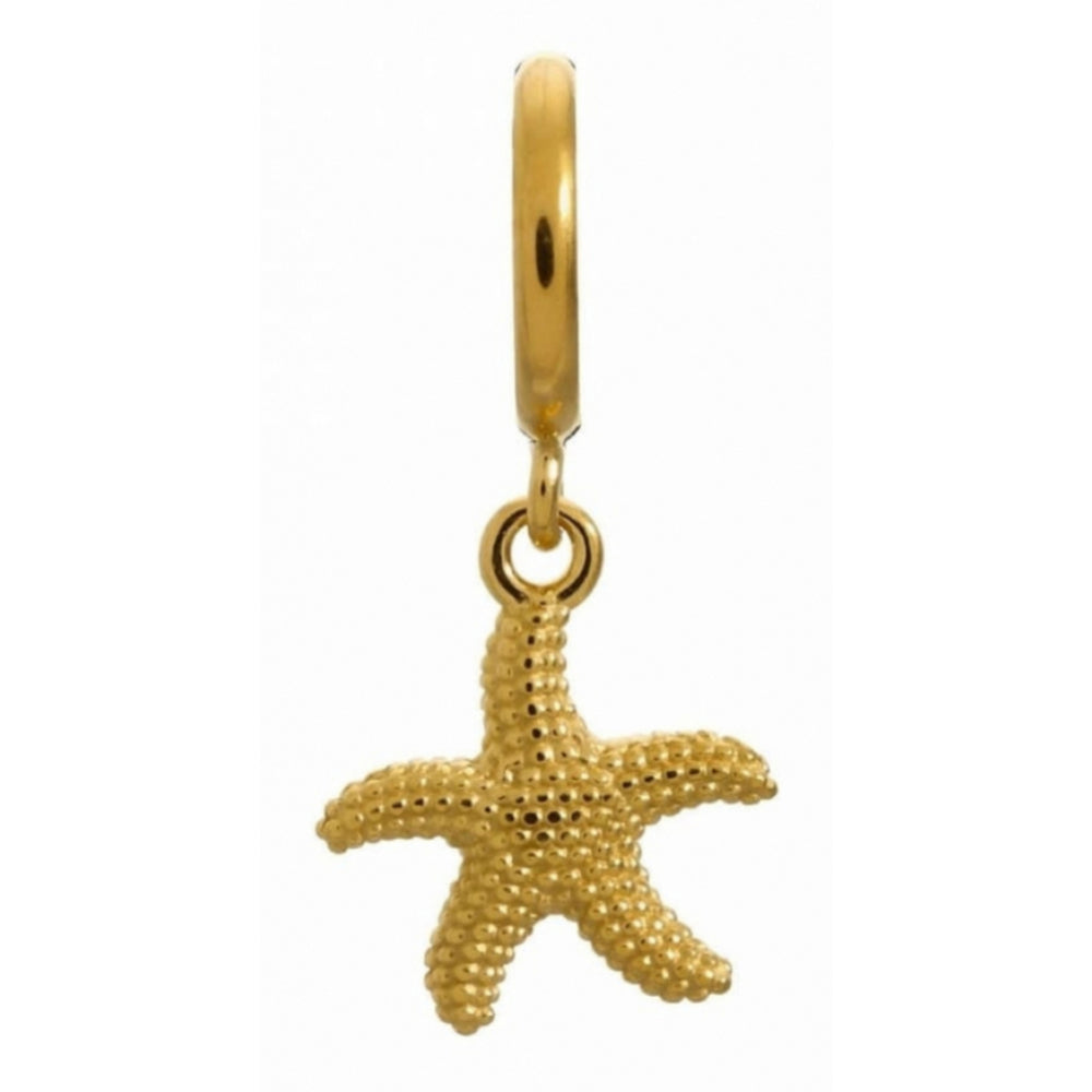 Gold Star Fish Hanging Charm