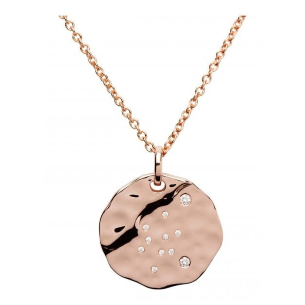 Silver 925 Pendant With Rose Gold Plating-Cz Incl.Chain. Aquarius
