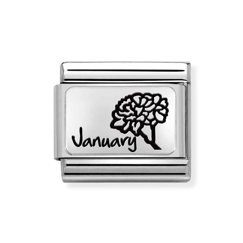 January Carnation Flower Classic Link