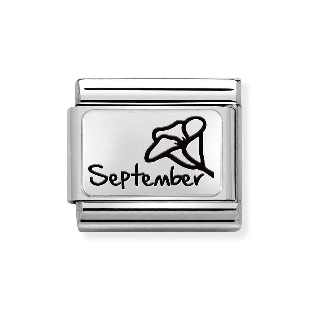 September Morning Glory Flower Classic Link
