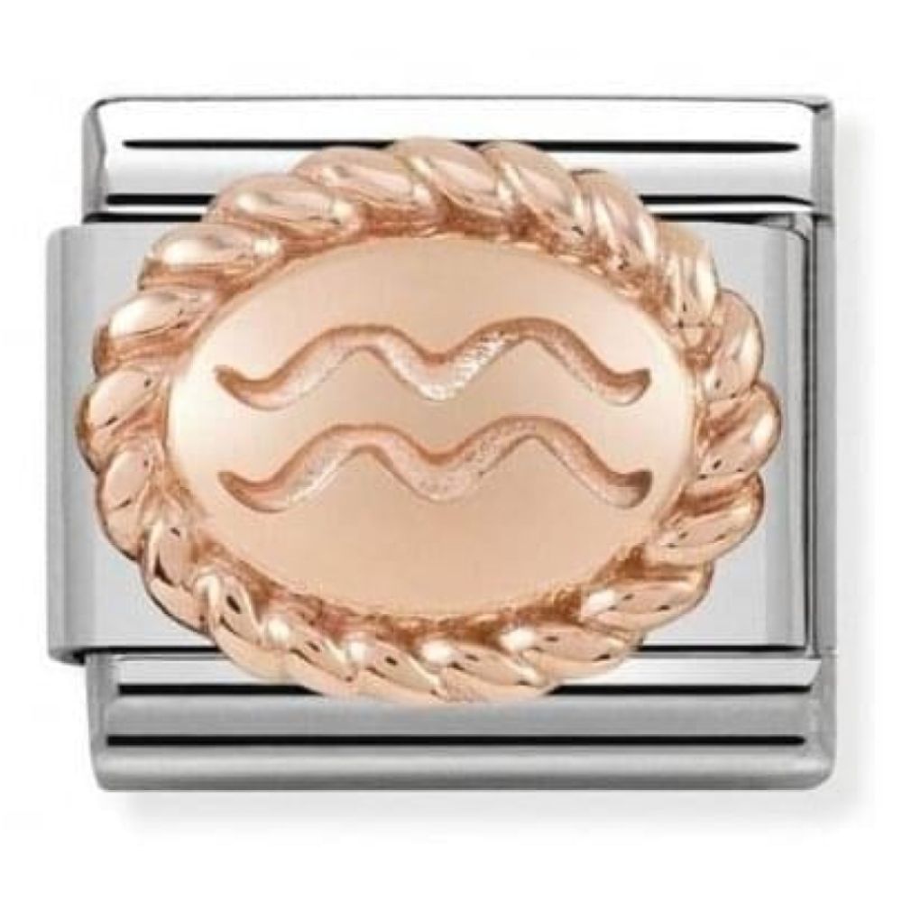 Classic Link In Stainless Steel With Rose Gold Zodiac Aquarius