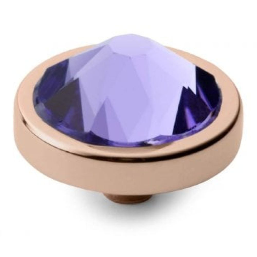 Famosa CANINO (RG/P) Tanzanite