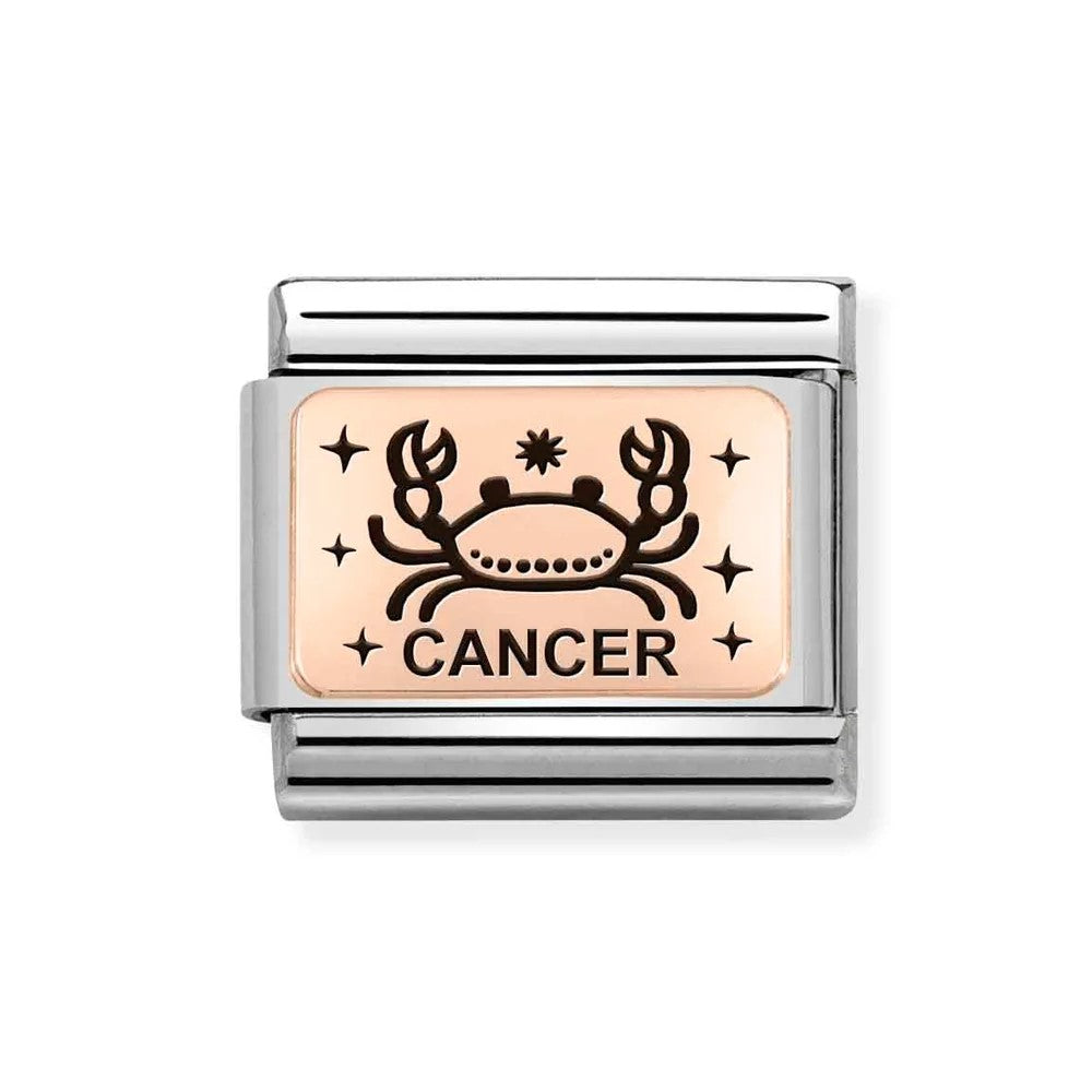Composable Classic Stainless Steel Link With 9K Rose Gold Cancer Zodiac Symbol