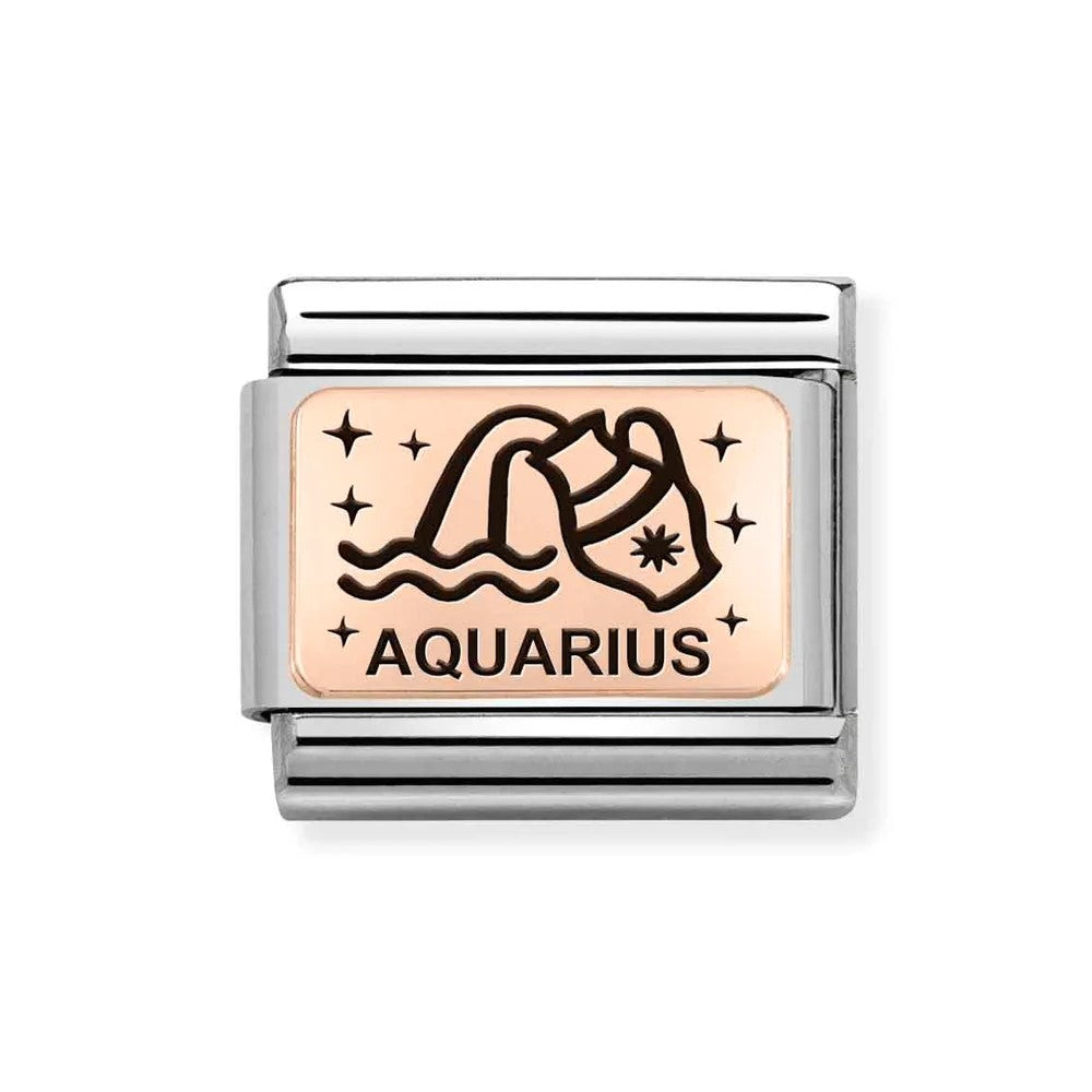Composable Classic Stainless Steel Link With 9K RG Aquarius Zodiac Symbol