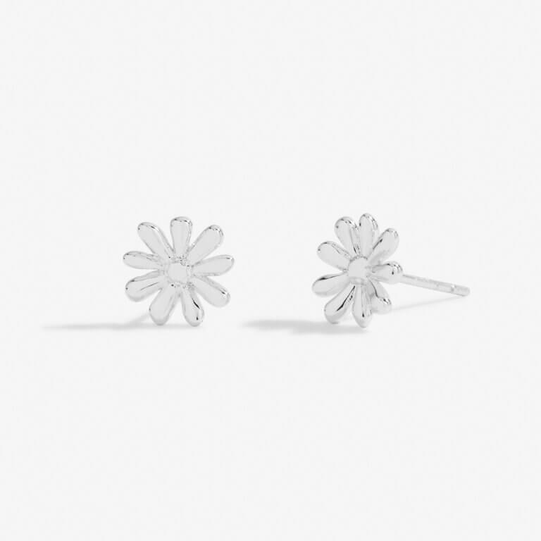 Occasion Earring Box | Darling Daughter | Silver | Earrings | Set Of 3 Earrings