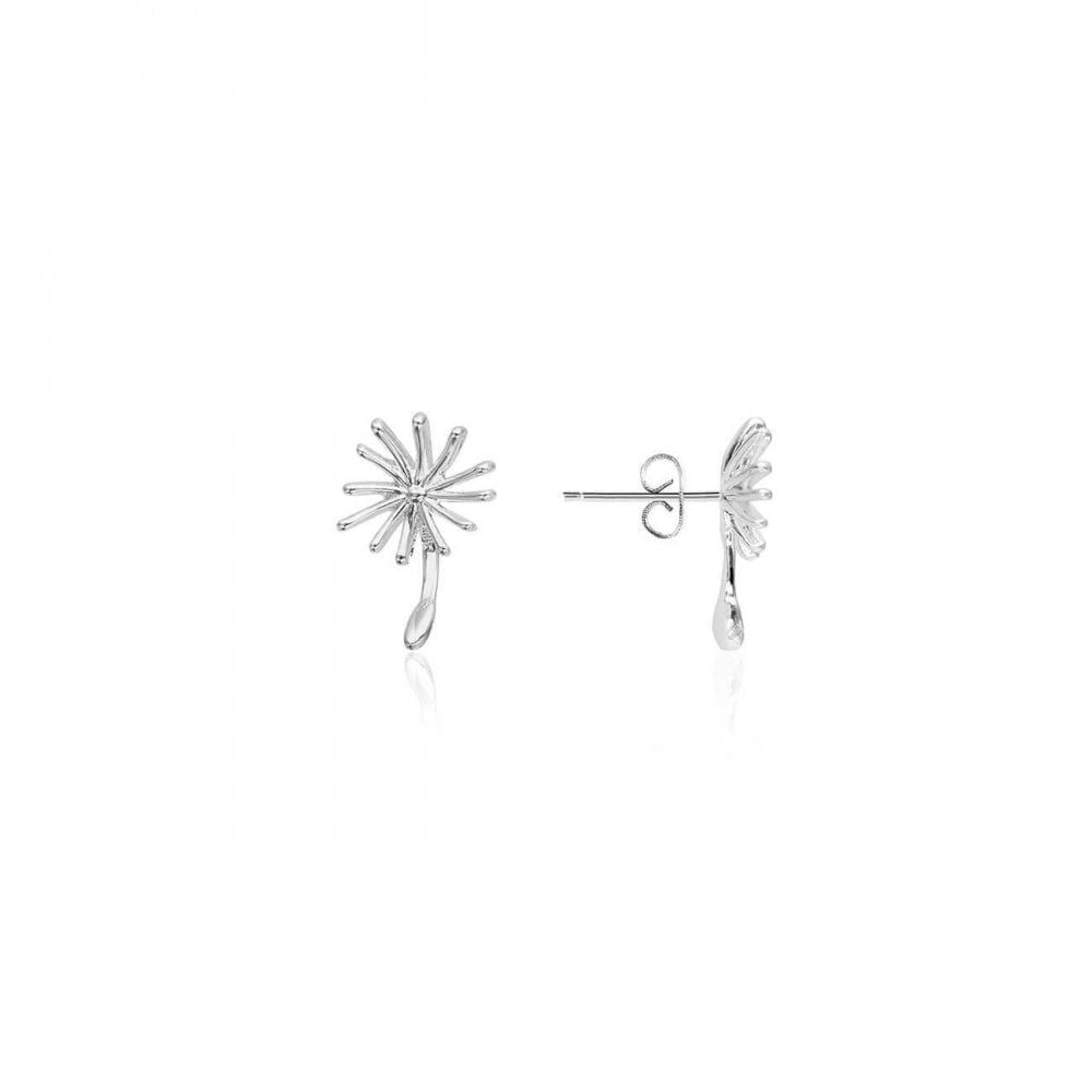 Treasure The Little Things | Make A Wish | Silver | Earring Box