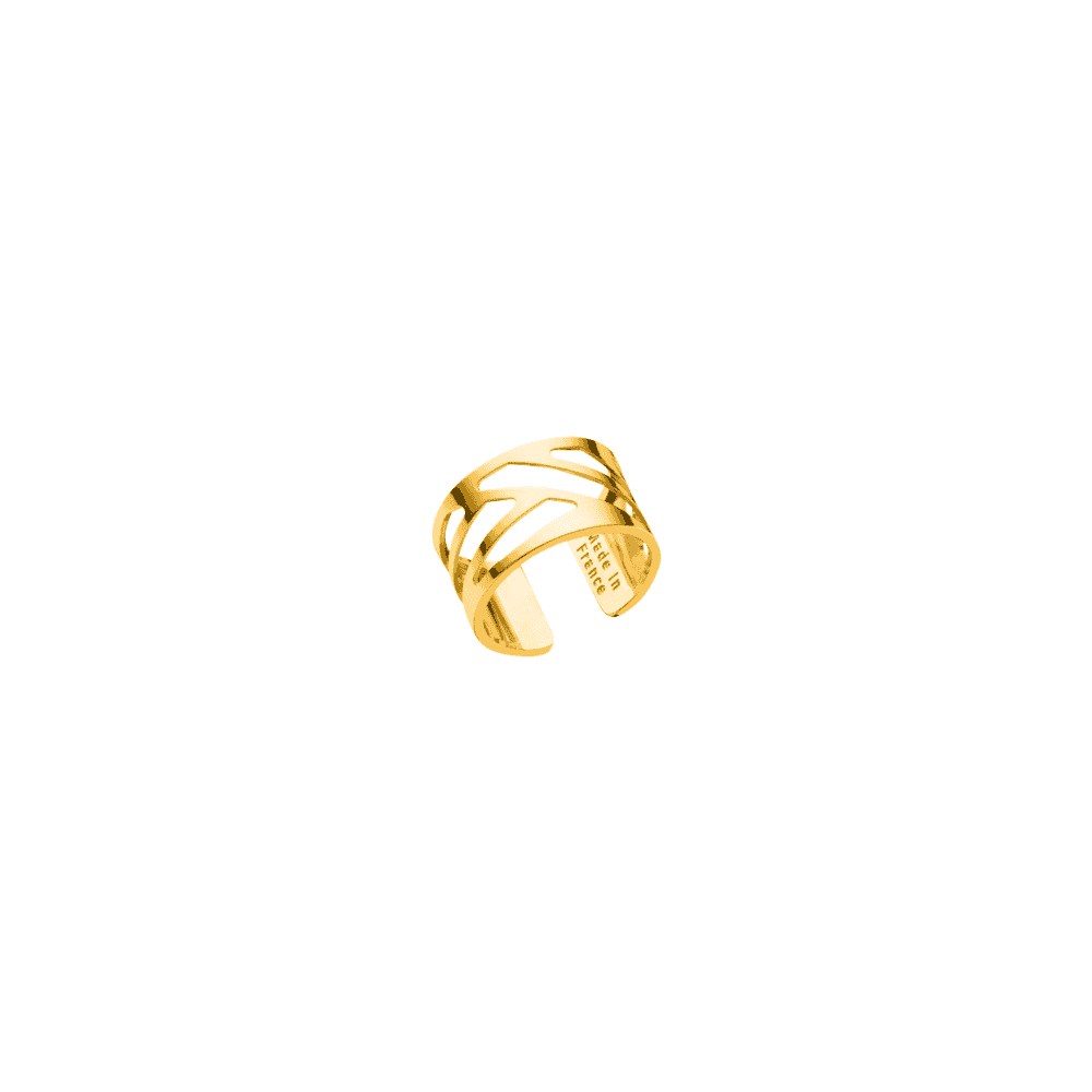 Brass & Gold Plated Ruban Ring