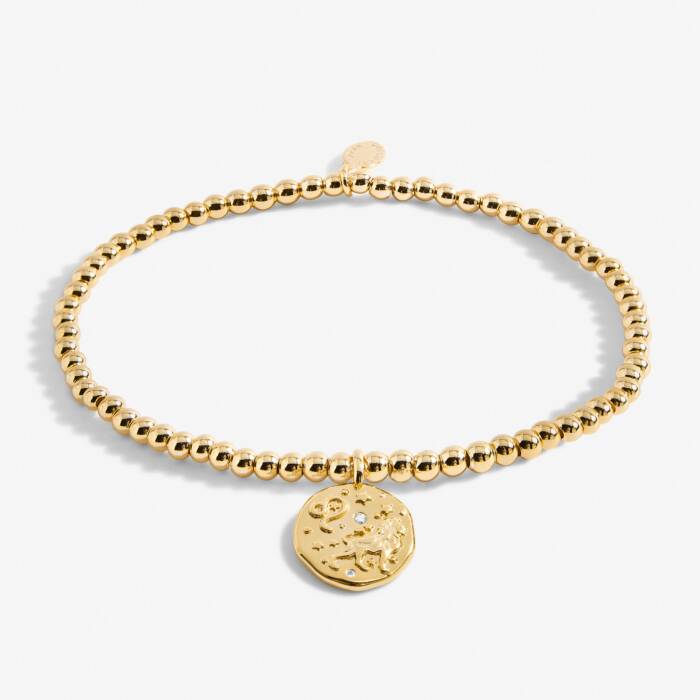 Star Sign A Little ' Leo ' Bracelet (23rd July - 22nd August)