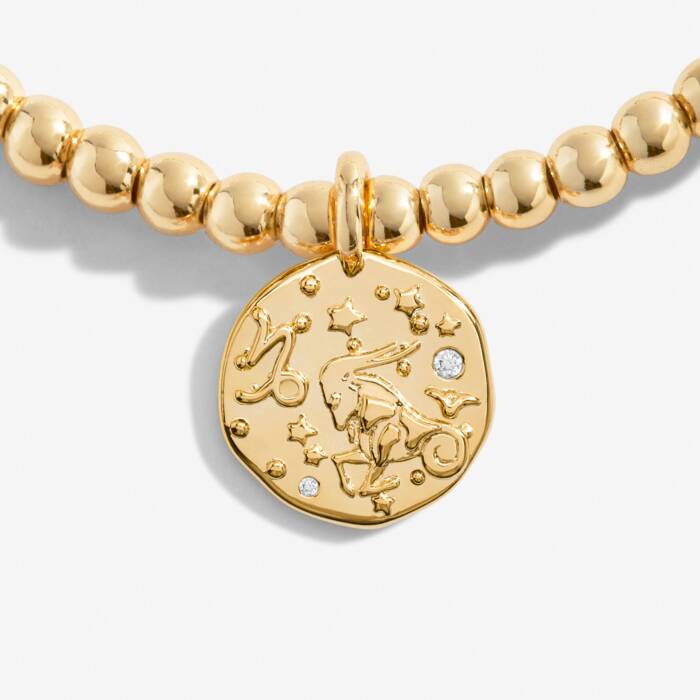 Star Sign A Little ' Capricorn ' Bracelet (22nd December - 19th January)