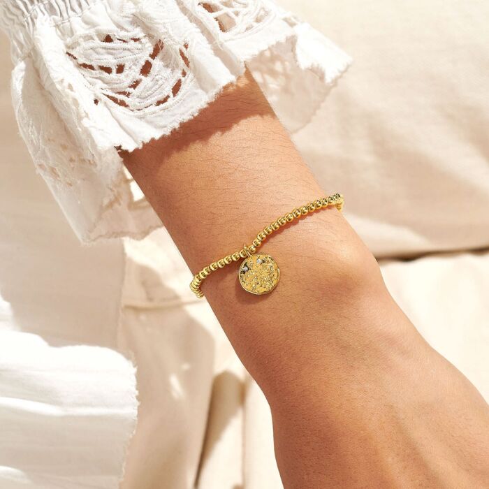 Star Sign A Little 'Aquarius' Bracelet (20th January - 18th February)