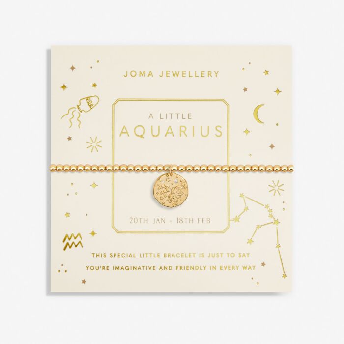 Star Sign A Little 'Aquarius' Bracelet (20th January - 18th February)