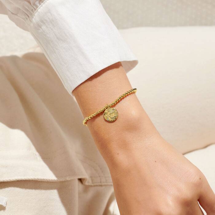 Star Sign A Little 'Pisces' Bracelet (19th February - 20th March)