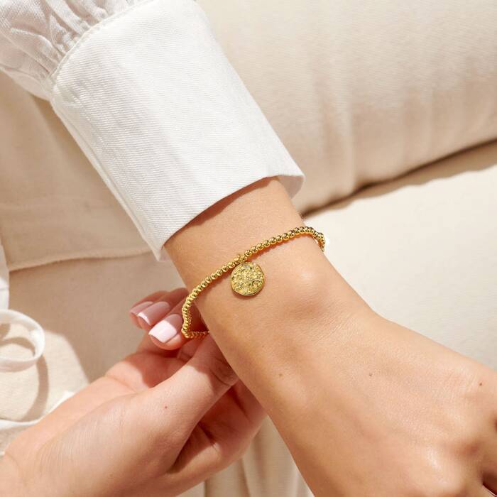 Star Sign A Little 'Taurus' Bracelet (23rd October - 21st November)