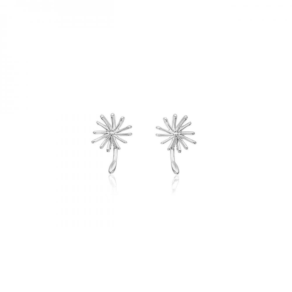 Treasure The Little Things | Make A Wish | Silver | Earring Box