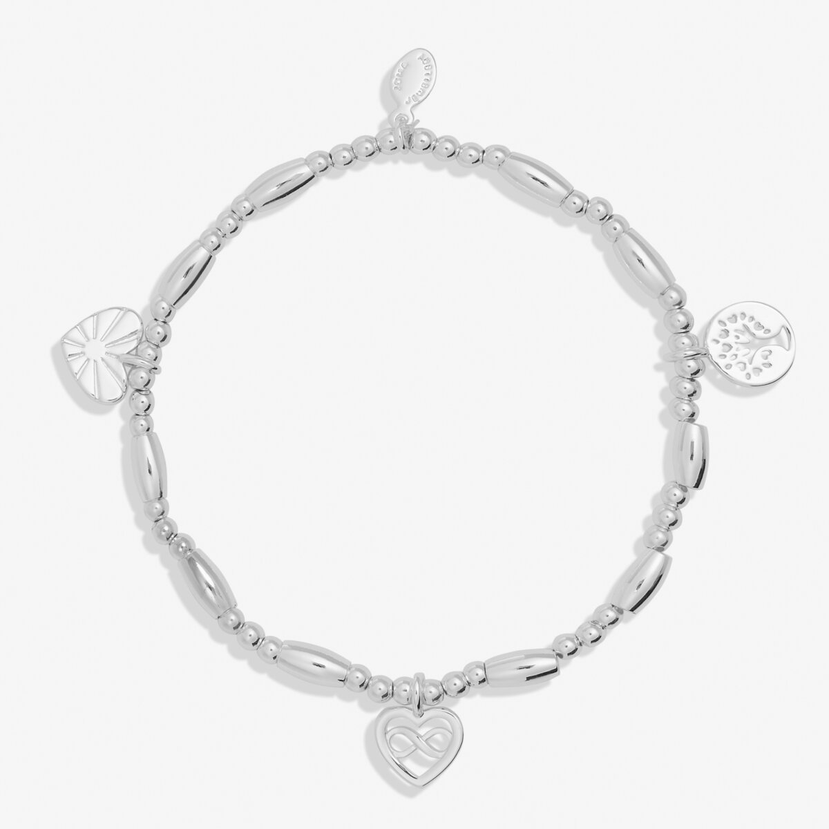 Life's A Charm 'Family' Silver Plated Bracelet