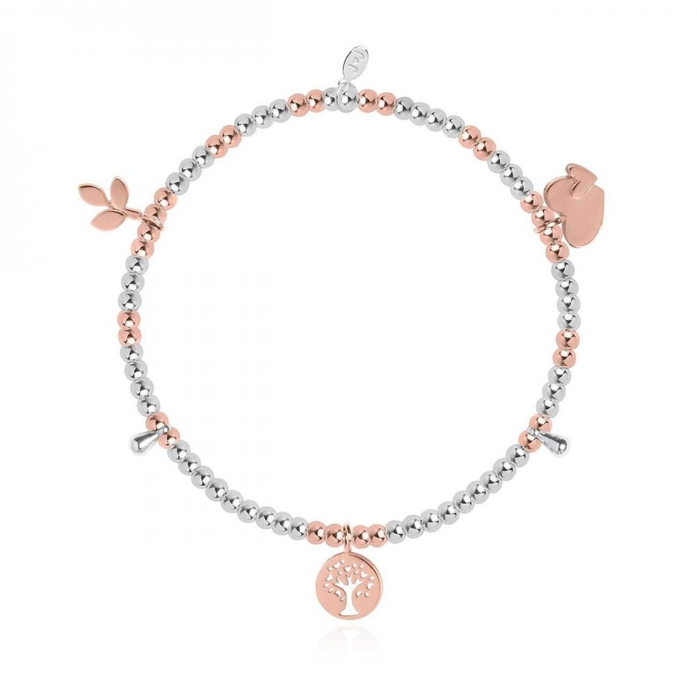 Life's A Charm | Family | Silver And Rose Gold | Charm Bracelet | 17.5cm Stretch