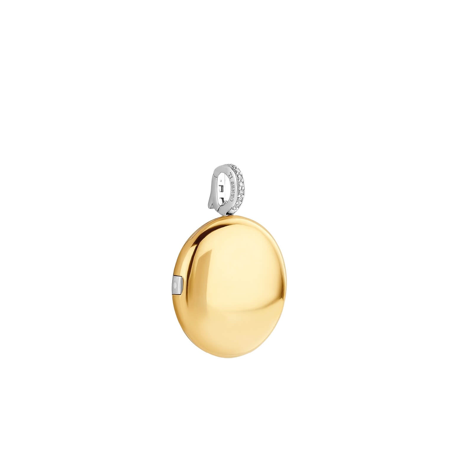 Disk Shape CZ Two Tone Pendant Necklace