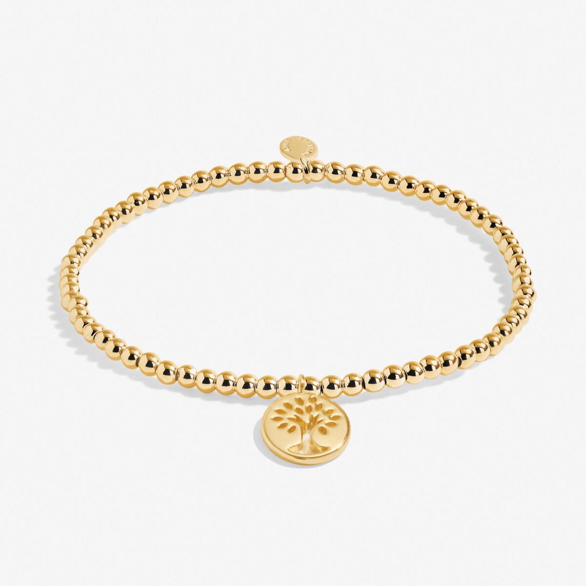 A Little 'Family' Gold Plated Bracelet