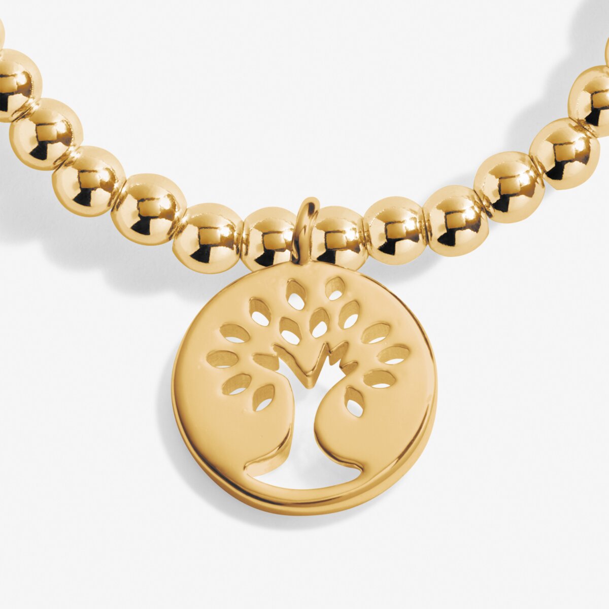 A Little 'Family' Gold Plated Bracelet