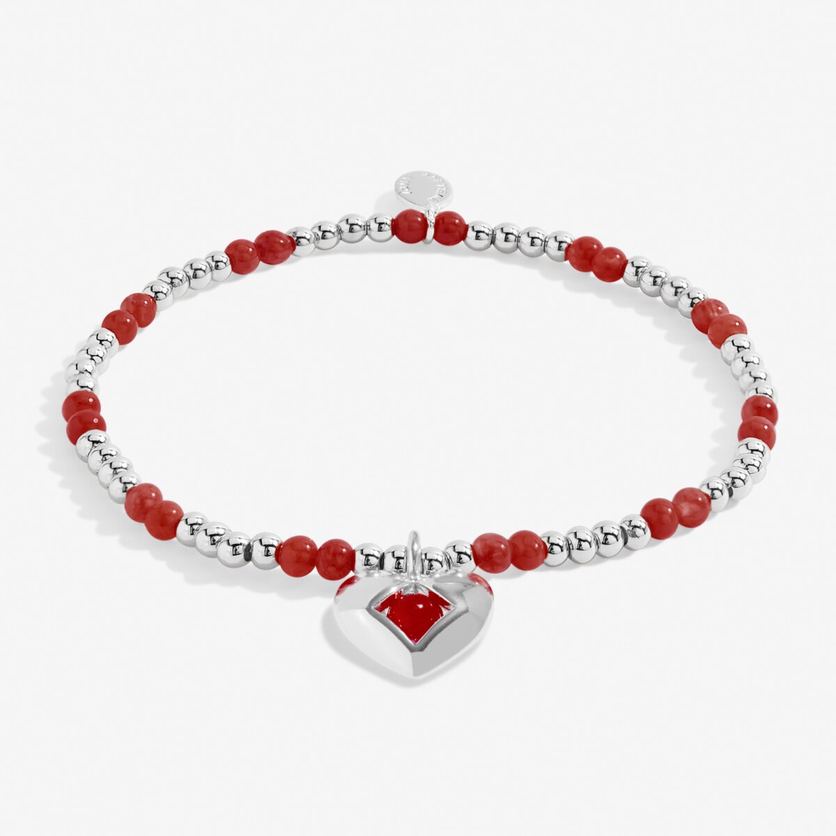 Birthstone A Little 'January' Silver Plated Bracelet