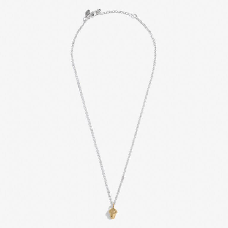 A Little | Strength | Silver And Gold | Necklace | 46cm + 5cm Extender