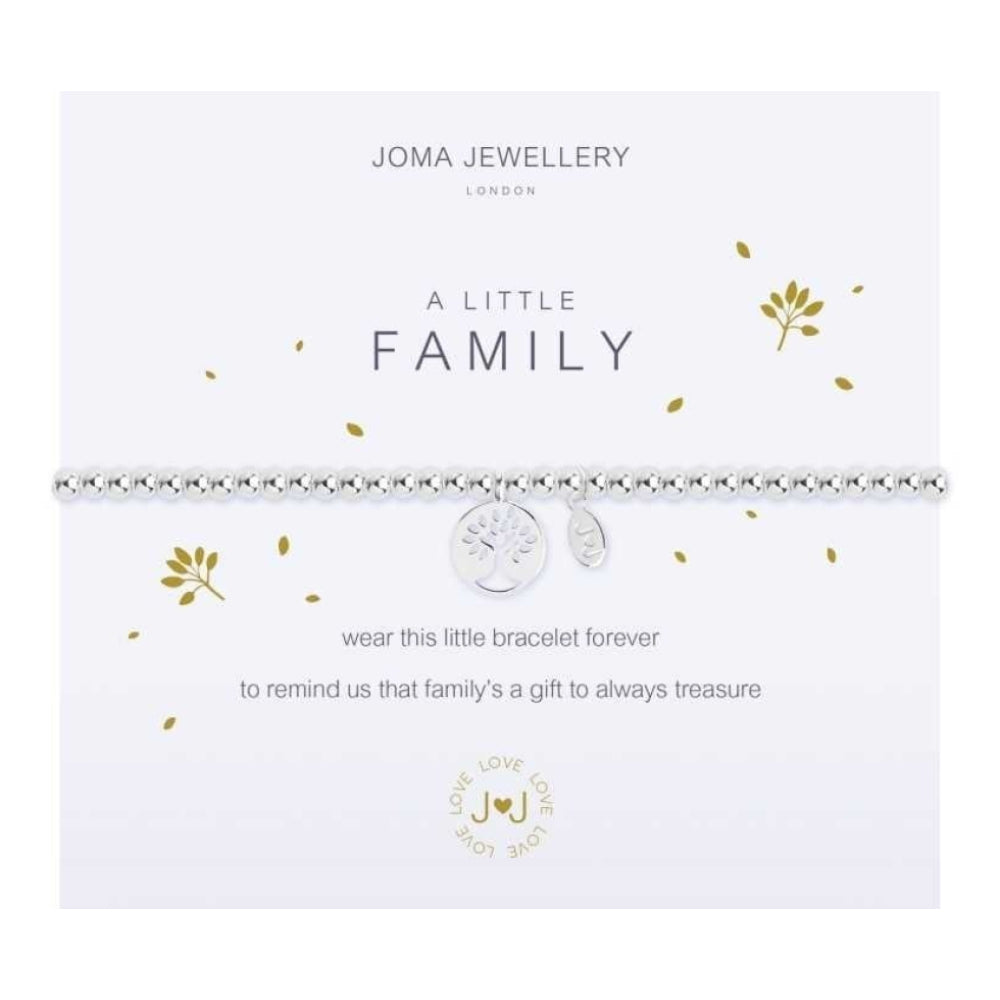 a little FAMILY - silver bracelet