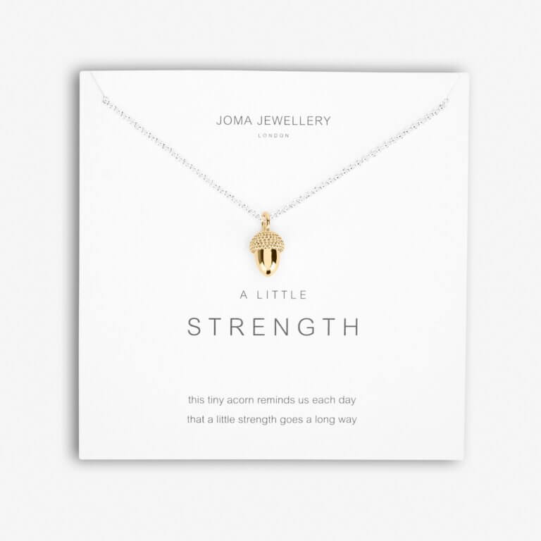A Little | Strength | Silver And Gold | Necklace | 46cm + 5cm Extender