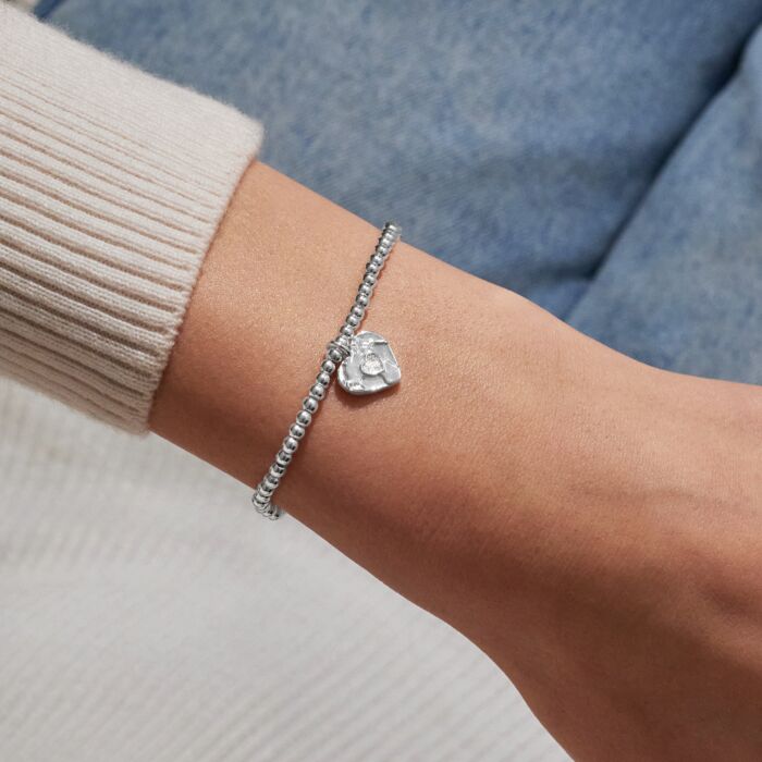 A Little 'Your Friendship Means The World To Me' Silver Plated Bracelet