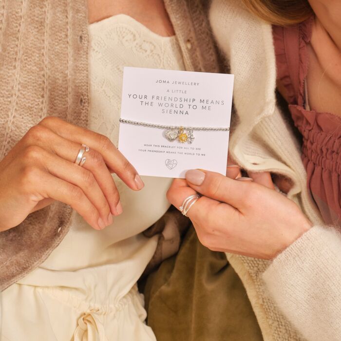 A Little 'Your Friendship Means The World To Me' Silver Plated Bracelet