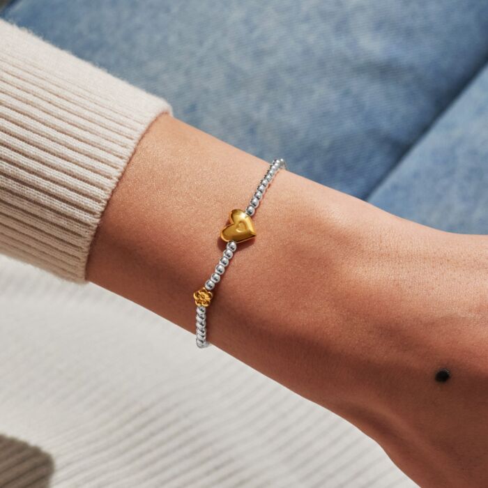 Birth Month A Little 'February' Silver & Gold Plated Bracelet