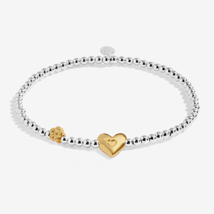 Birth Month A Little 'February' Silver & Gold Plated Bracelet
