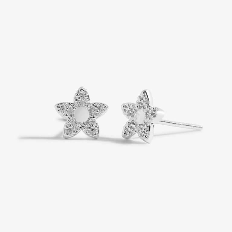 Mother's Day Boxed A Little Earrings 'If Mum's Were Flowers I'd Pick You'