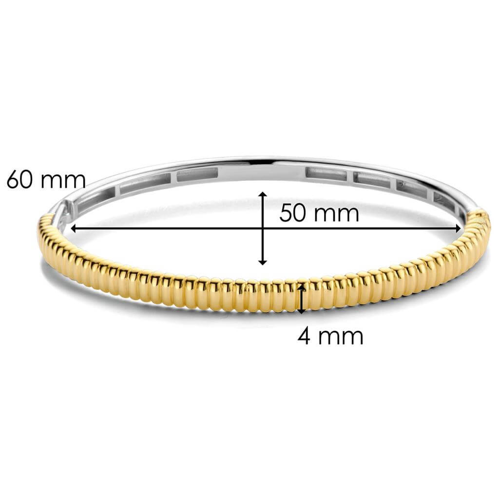 Silver & Gold Plated Bangle