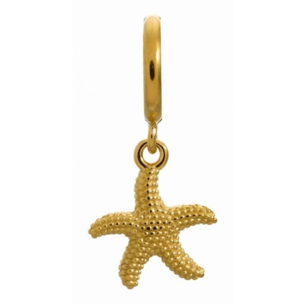 Gold Star Fish Hanging Charm
