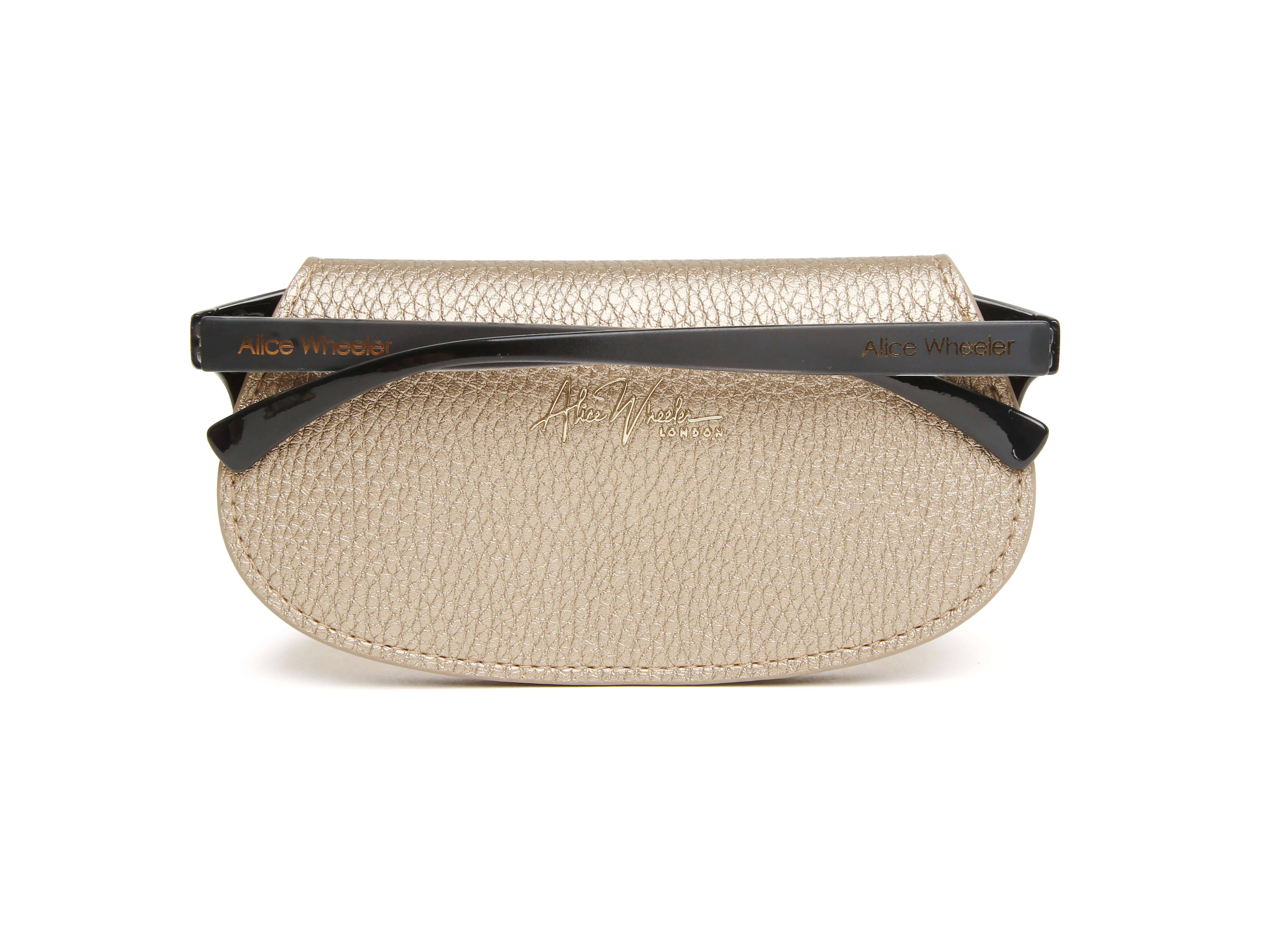 Bronze Glasses Case