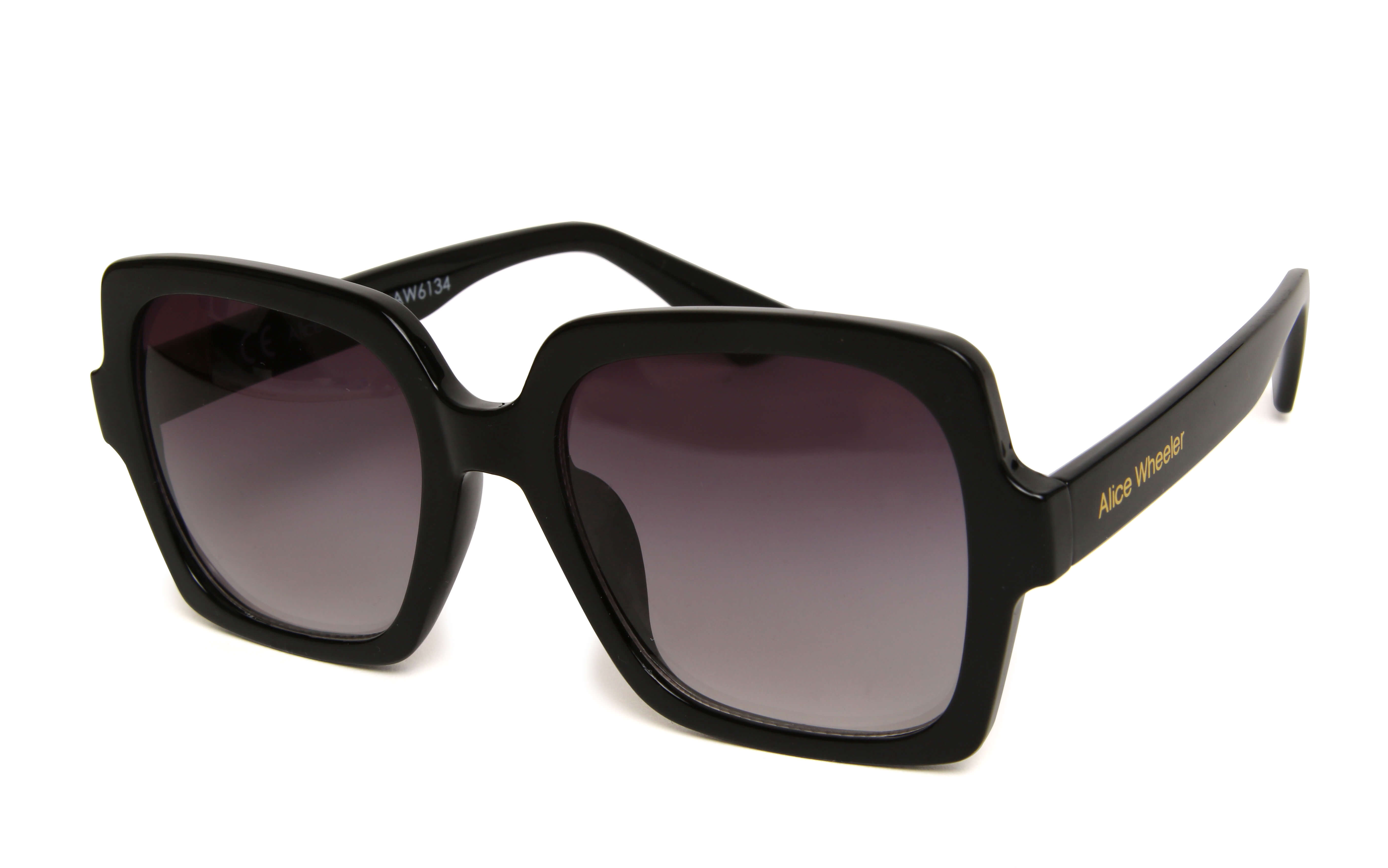 Channing Black Sunglasses