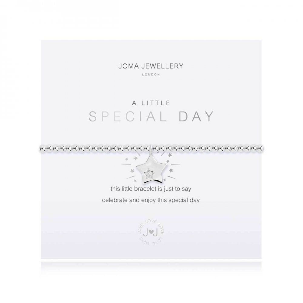 A Little | Special Day | Silver | Bracelet | 17.5cm Stretch