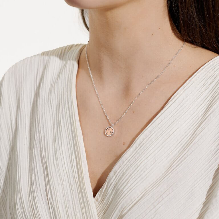 Sentiment Spinners | Family | Silver And Rose Gold | Necklace | 46cm + 6cm Extender