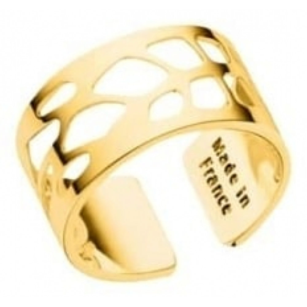 Brass & Gold Plated fern Pattern Ring