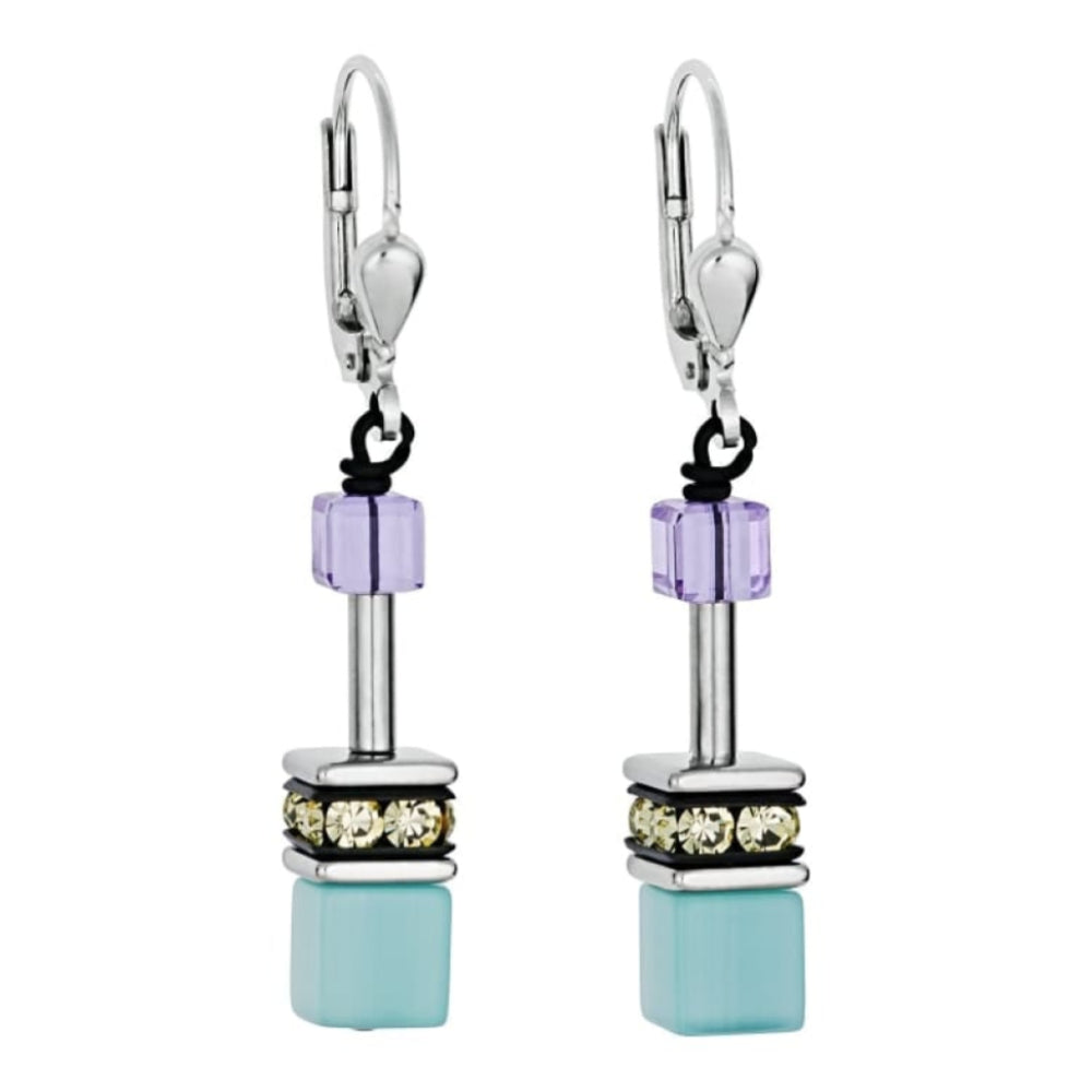 Ladies' Multicolour Earrings