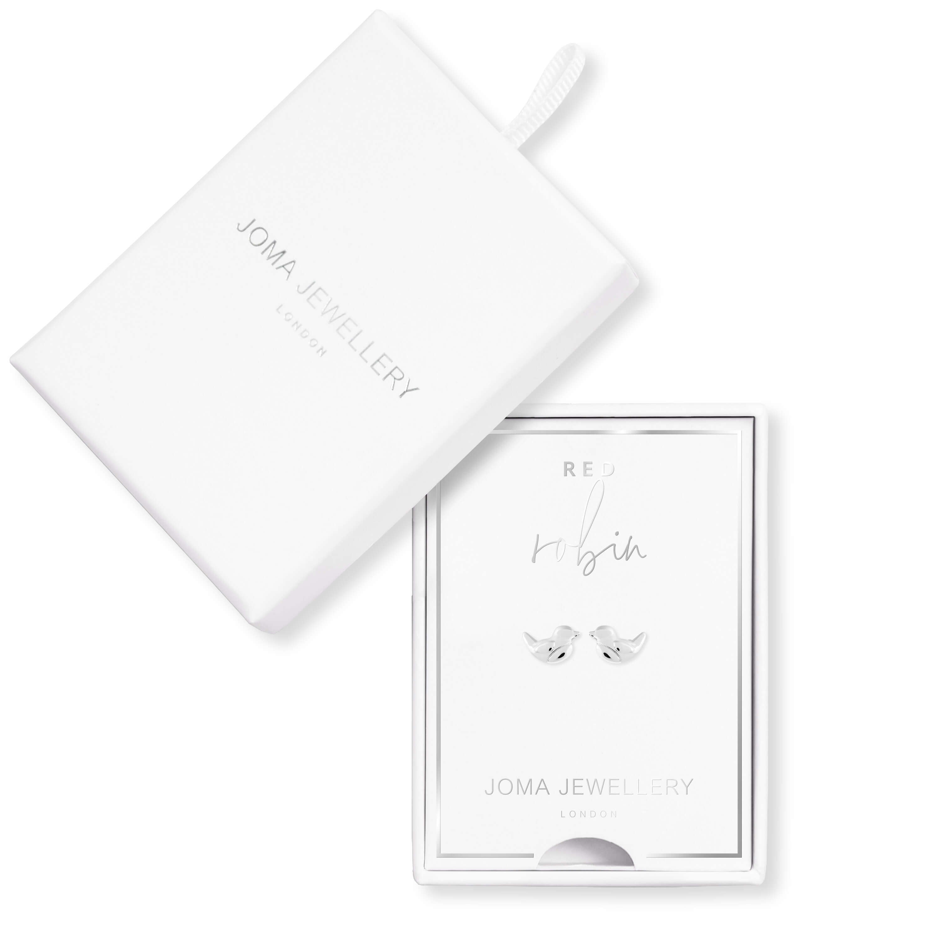 Treasure The Little Things | Robin | Silver | Earring Box