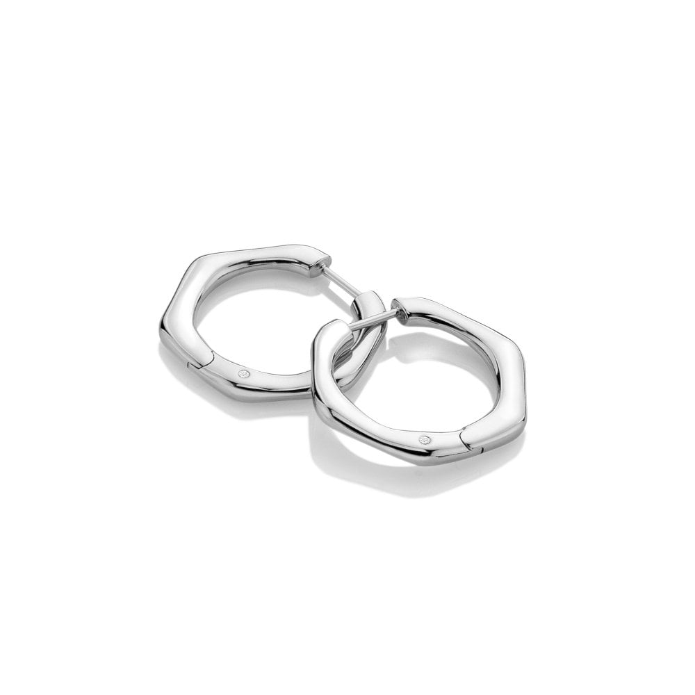 Fluid Earrings