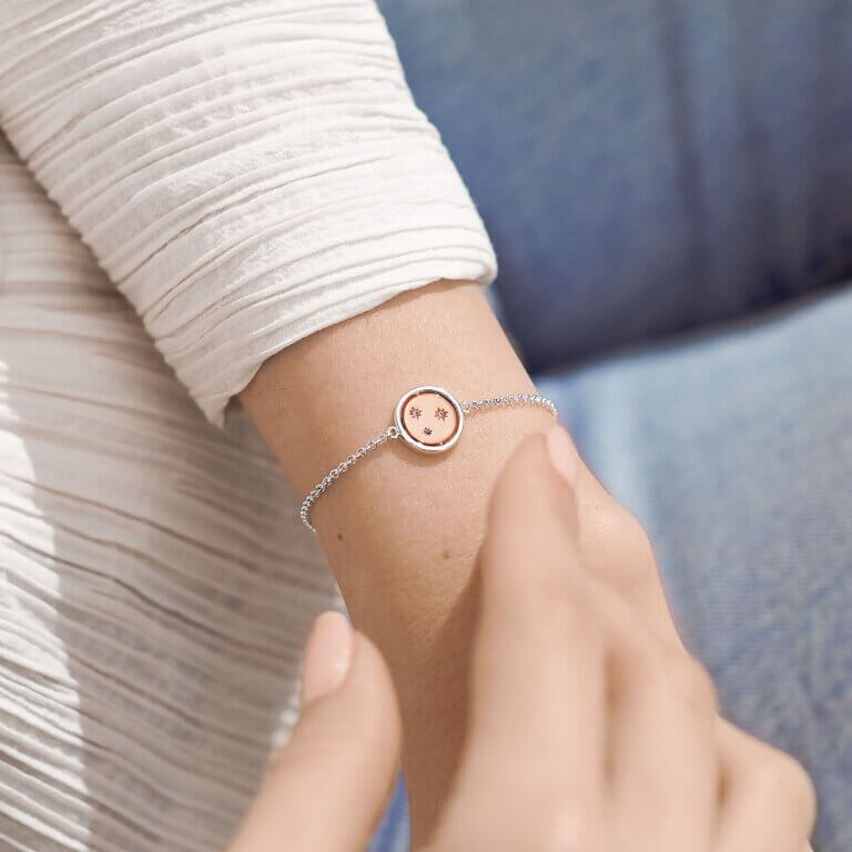 Sentiment Spinners | Family | Silver And Rose Gold | Bracelet | 19cm Adjustable