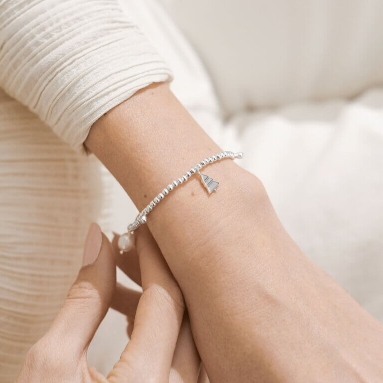 Life's A Charm | Winter Wonderland | Silver | Charm Bracelet | 17.5cm Stretch