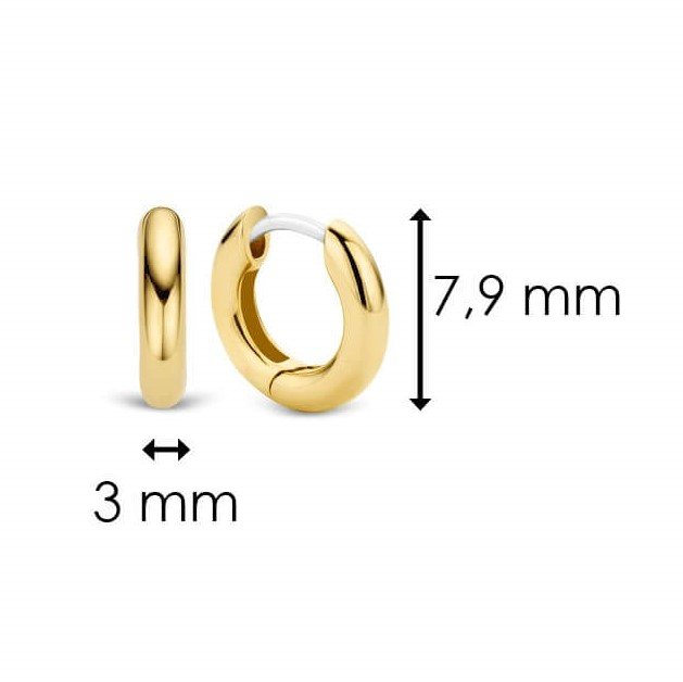 Gold Plated Hoop Earrings